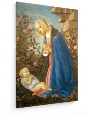 Tablou pe panza (canvas) - Sandro Botticelli - Madonna Wemyss foto