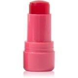 Technic Cosmetics Jelly Tint blush stick buze si obraz culoare Red Hot 9 g