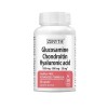 Glucosamine Chondroitin Hyaluronic Acid 60 capsule Zenyth, Zenyth Pharmaceuticals
