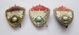t113 UNGARIA COMUNISTA SET INSIGNE CAMPIONATUL DE FOTBAL AL TRUPELOR MILITARE AUR ARGINT BRONZ in stare foarte frumoasa