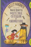 Sally Gardner - Misterul cutiilor de chibrituri. Cu ilustratii de David Roberts
