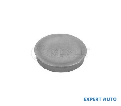 Capac de protectie,butuc roata Audi AUDI A4 Avant (8ED, B7) 2004-2008 foto