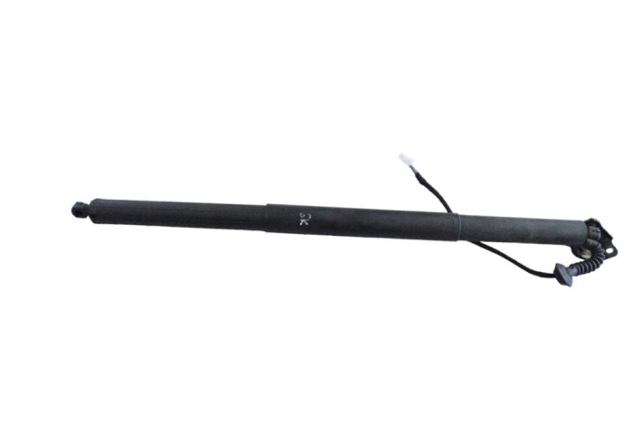 Amortizor haion st&acirc;nga TESLA MODEL X 2020 OEM: 1065664-00-B 24821027