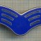 Y 509 INSIGNA - MILITARA - INSEMN DE GRAD - SUA - PENTRU COLECTIONARI