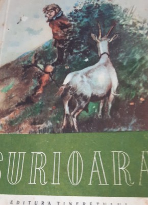 SURIOARA N GHERNET 1955 foto