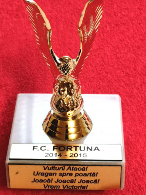 Trofeu fotbal - FC FORTUNA CAMPINA (2014/2015) foto