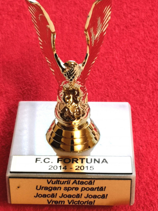 Trofeu fotbal - FC FORTUNA CAMPINA (2014/2015)