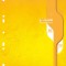 Separatoare, A4 80 buc/set, CLAIRE FONTAINE