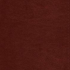 ESV Pocket Bible (Trutone, Chestnut)