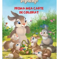 Disney. Iepurași. Prima mea carte de colorat - Paperback brosat - Disney - Litera mică