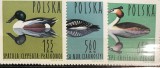 Timbre - Polonia Polska - >50 - Serie - Tematica Animale
