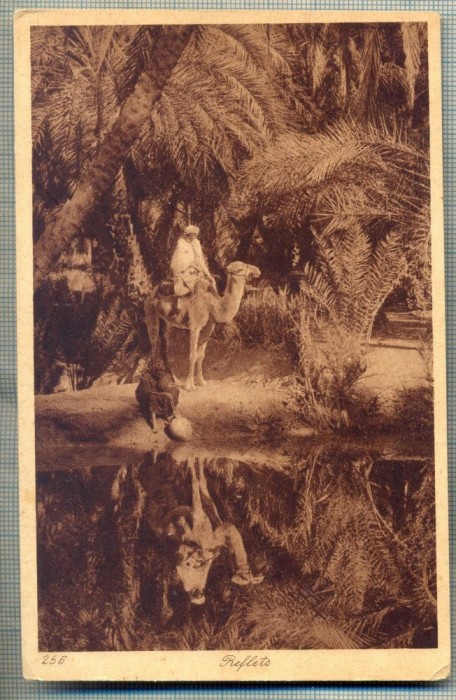 AD 689 C. P. VECHE- REFLETS (REFLEXIA) -EDITEURS : L&amp;L - IMAGINE ZONA ARABA
