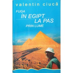 Valentin Ciucă, Fuga &icirc;n Egipt - La pas prin lume, 2004