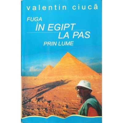 Valentin Ciucă, Fuga &amp;icirc;n Egipt - La pas prin lume, 2004 foto