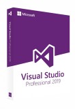 Visual Studio Professional 2019, Microsoft