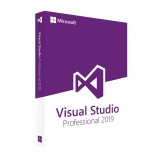 Visual Studio Professional 2019