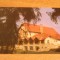 QW24 I - Carte postala - tematica turism - vedere - Izvorul Muresului 2