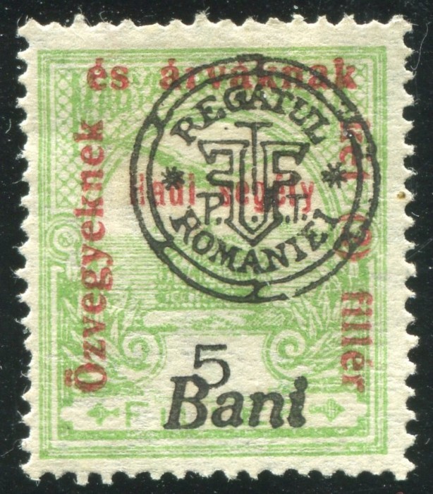 1919 , Mi 22 II , Emisiunea Oradea , Timbru de binefacere tip TURUL - MH