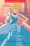 Cumpara ieftin Disney Printese. Visul unei printese. Poveste cu litere mari de tipar (Nivelul 1)