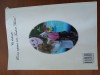 Ghid Orienativ In Planificarea Activitătilor De Invățare-Corciovei Tatiana., Editura Didactica Si Pedagogica