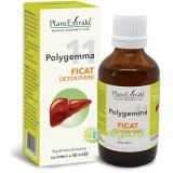 Polygemma 11 (Ficat-Detoxifiere) 50ml