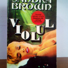 Sandra Brown – Violul (thriller)