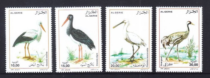 ALGERIA 2005 FAUNA PASARI