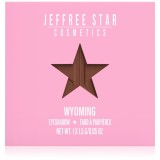 Jeffree Star Cosmetics Artistry Single Eyeshadow fard ochi culoare Wyoming 1,5 g