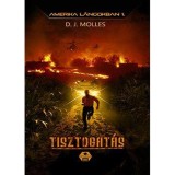 Tisztogat&aacute;s - Amerika l&aacute;ngokban 1. - D. J. Molles