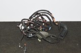Cablaj ușă dreapta spate BMW 7 G11, G12 2016 OEM: 1107810,4204369 11516974