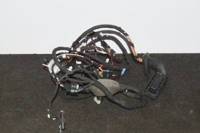 Cablaj ușă dreapta spate BMW 7 G11, G12 2016 OEM: 1107810,4204369 11516974 foto