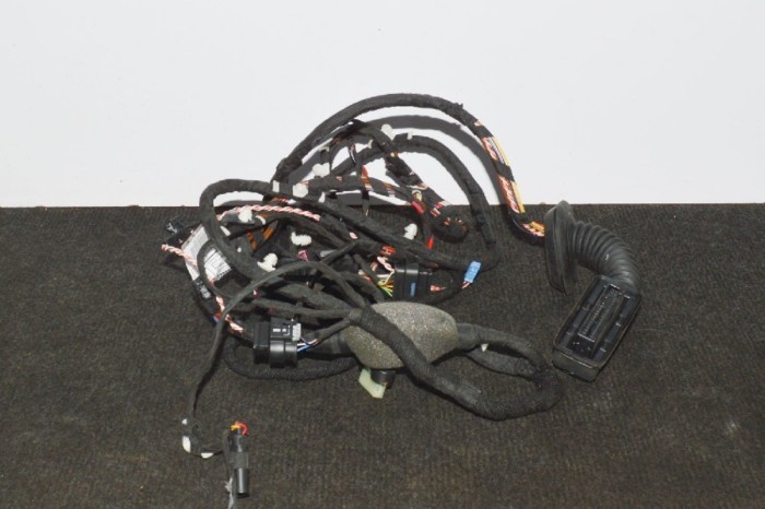 Cablaj ușă dreapta spate BMW 7 G11, G12 2016 OEM: 1107810,4204369 11516974