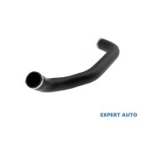 Furtun admisie Mercedes Sprinter 2 (2006-&gt;) [906] #1