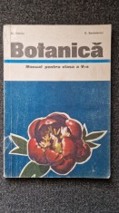 BOTANICA MANUAL PENTRU CLASA A V-A - Dabija, Sanielevici