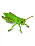 Lacusta - Collecta