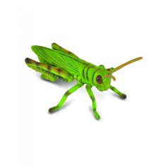 Lacusta - Collecta