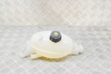 Vas de expansiune RENAULT MASTER III Furgon FV 2017 OEM: 217100015R 17899314