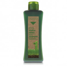 Sampon specific par gras cu extract de drojdie de bere Specific Oily Hair Shampoo Biokera Natura 300ml foto