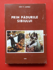 PRIN PADURILE SIBIULUI = ION LUNGU foto