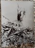 Bloc distrus in timpul cutremurului din 1977// fotografie de presa, Romania 1900 - 1950, Portrete