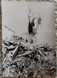 Bloc distrus in timpul cutremurului din 1977// fotografie de presa, Romania 1900 - 1950, Portrete
