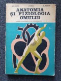 I. San-Marina - Anatomia si fiziologia omului. Manual pt. cls. a IX-a si a X-a licee sanitare