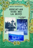 M Dragoteanu 2020 - Ridicat-am ochii mei la munți - Istoria Păltinisului si a postei sale locale (1919-1930) , vol II