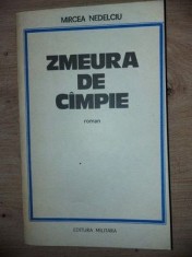 Zmeura de cimpie- Mircea Nedelcu