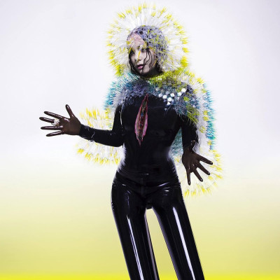 Bjork Vulnicura (cd) foto