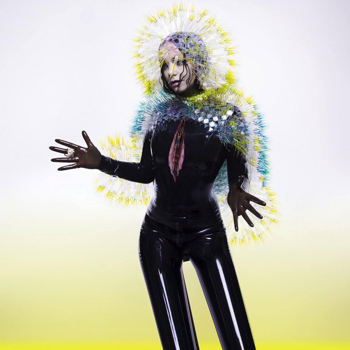 Bjork Vulnicura (cd)