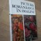PICTURA ROMANEASCA IN IMAGINI. 1111 REPRODUCERI-VASILE DRAGUT, VASILE FLOREA, DAN GRIGORESCU, MARIN MIHALAC-260354