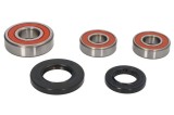 Kit rulment roata Spate (cu etansanti) pentru SUZUKI GSF, GSX, GSX-R, SFV, SV 600/650/750 1992-2015