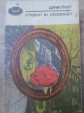 Chipuri si Popasuri - Gala Galaction - Roman Beletristica, Editura Pentru Literatura, 1968, 344 pagini, Coperta Necartonata