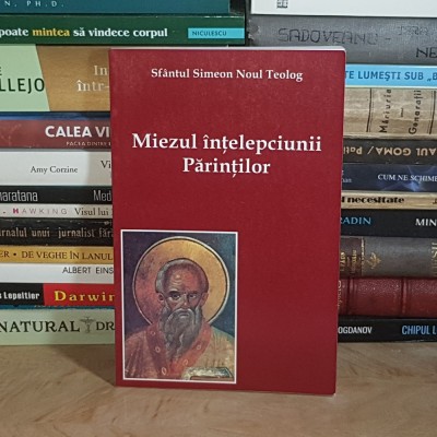 SFANTUL SIMEON NOUL TEOLOG - MIEZUL INTELEPCIUNII PARINTILOR , 2004 * foto